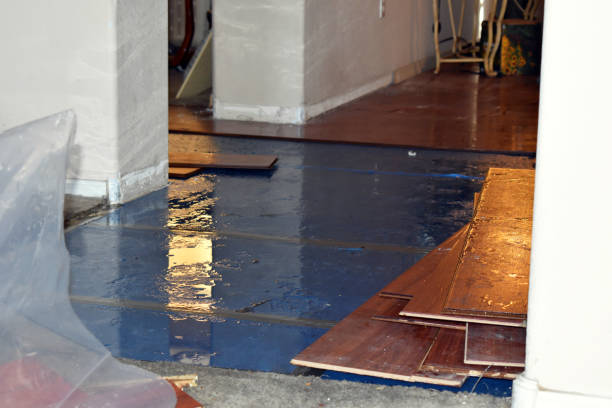 Professional Basement Flooding technician working in Houston, TX